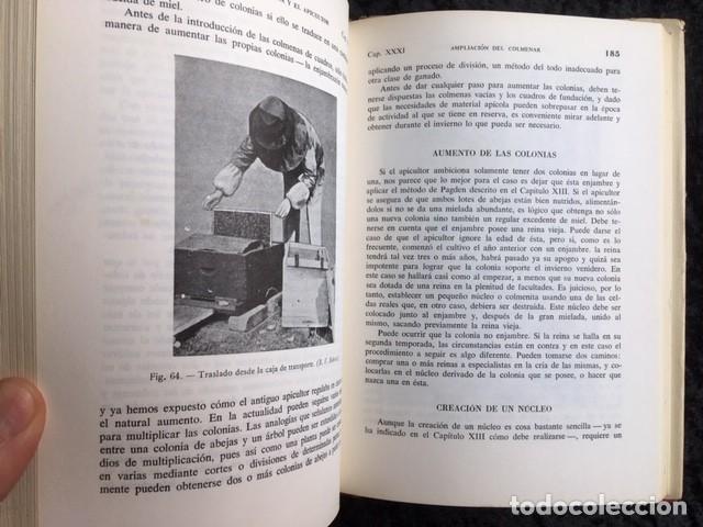 Libros de segunda mano: LA ABEJA - LA COLMENA Y EL APICULTOR - Herbert MACE - Foto 2