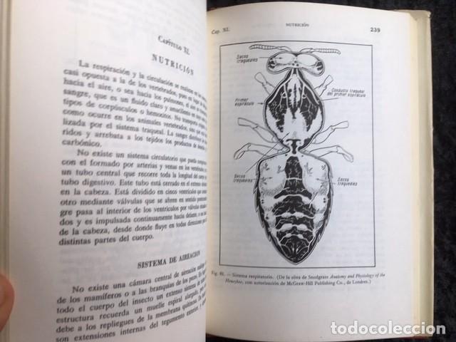 Libros de segunda mano: LA ABEJA - LA COLMENA Y EL APICULTOR - Herbert MACE - Foto 3