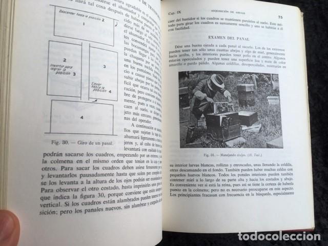 Libros de segunda mano: LA ABEJA - LA COLMENA Y EL APICULTOR - Herbert MACE - Foto 5