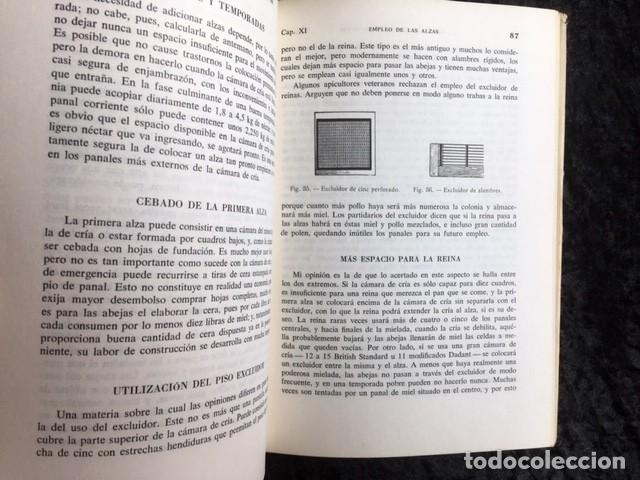 Libros de segunda mano: LA ABEJA - LA COLMENA Y EL APICULTOR - Herbert MACE - Foto 6