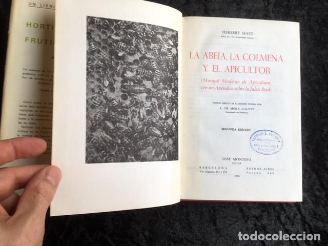 Libros de segunda mano: LA ABEJA - LA COLMENA Y EL APICULTOR - Herbert MACE - Foto 7