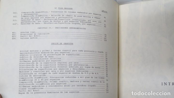 Libros de segunda mano: INVENTARIO FORESTAL NACIONAL. REGION DE LEVANTE - Foto 3