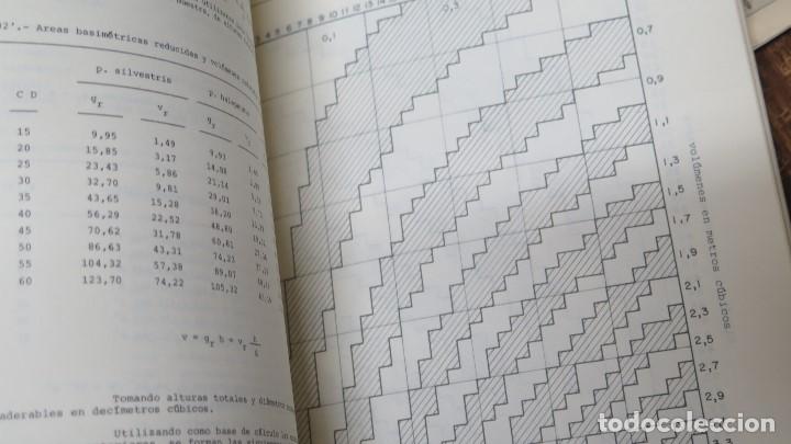 Libros de segunda mano: INVENTARIO FORESTAL NACIONAL. REGION DE LEVANTE - Foto 4