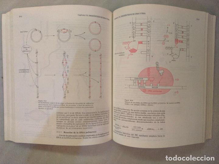 Libros de segunda mano: BIOQUIMICA HUMANA. MACARULLA y GO&Ntilde;I. - Foto 3