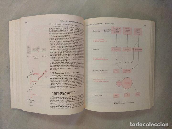 Libros de segunda mano: BIOQUIMICA HUMANA. MACARULLA y GO&Ntilde;I. - Foto 4