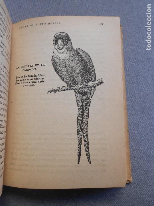 Libros de segunda mano: CANARIOS Y PERIQUITOS - Foto 9