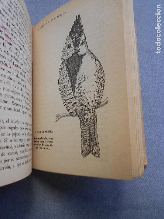 Libros de segunda mano: CANARIOS Y PERIQUITOS - Foto 13
