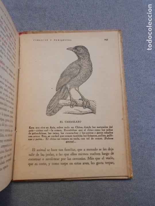 Libros de segunda mano: CANARIOS Y PERIQUITOS - Foto 15