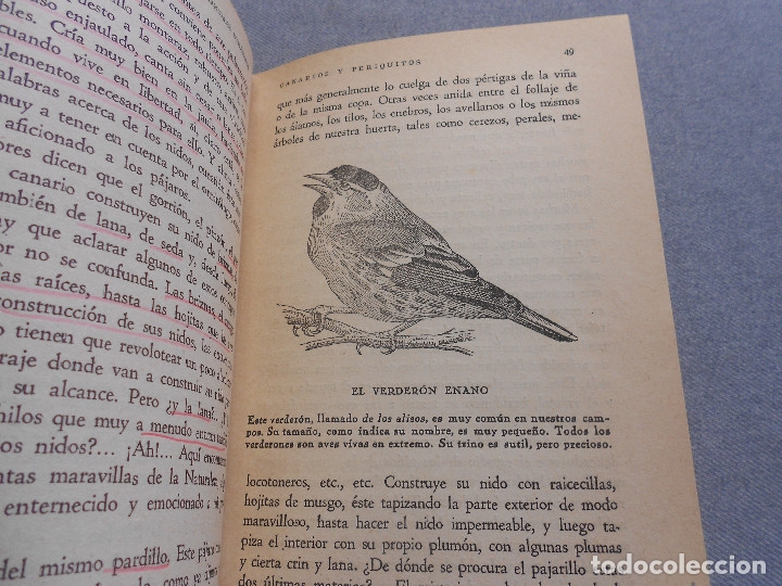 Libros de segunda mano: CANARIOS Y PERIQUITOS - Foto 4