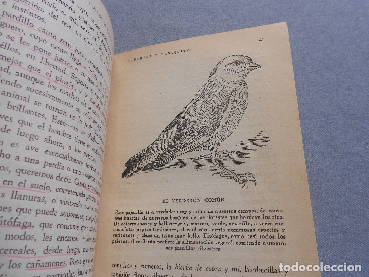 Libros de segunda mano: CANARIOS Y PERIQUITOS - Foto 5