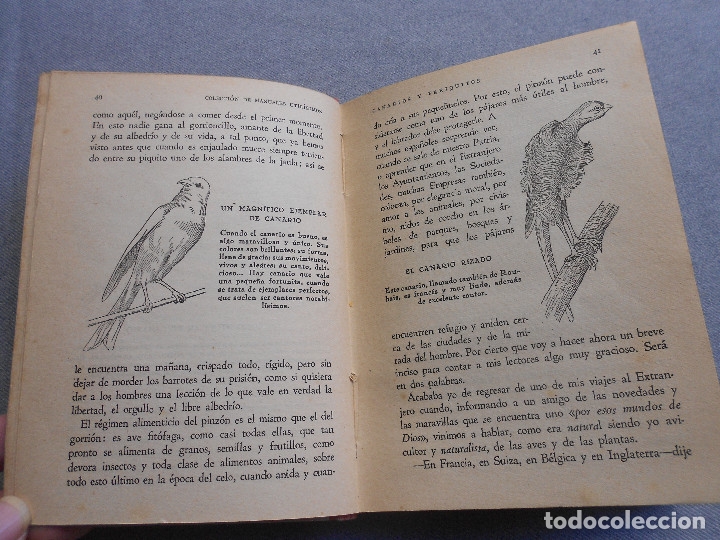 Libros de segunda mano: CANARIOS Y PERIQUITOS - Foto 7