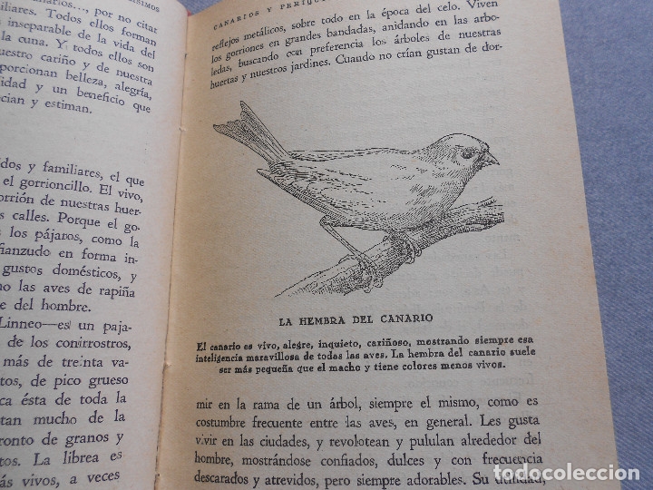 Libros de segunda mano: CANARIOS Y PERIQUITOS - Foto 8
