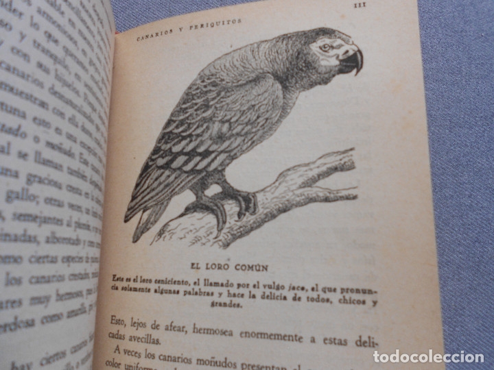 Libros de segunda mano: CANARIOS Y PERIQUITOS - Foto 10