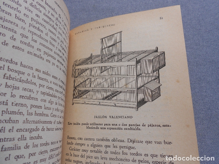 Libros de segunda mano: CANARIOS Y PERIQUITOS - Foto 11