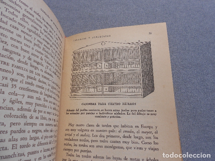 Libros de segunda mano: CANARIOS Y PERIQUITOS - Foto 12
