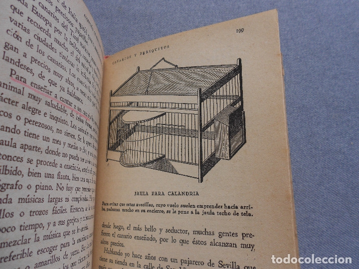 Libros de segunda mano: CANARIOS Y PERIQUITOS - Foto 14