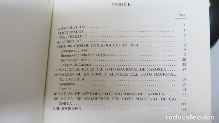 Libros de segunda mano: FAUNA DE CAZORLA. VERTEBRADOS. VV.AA - Foto 2