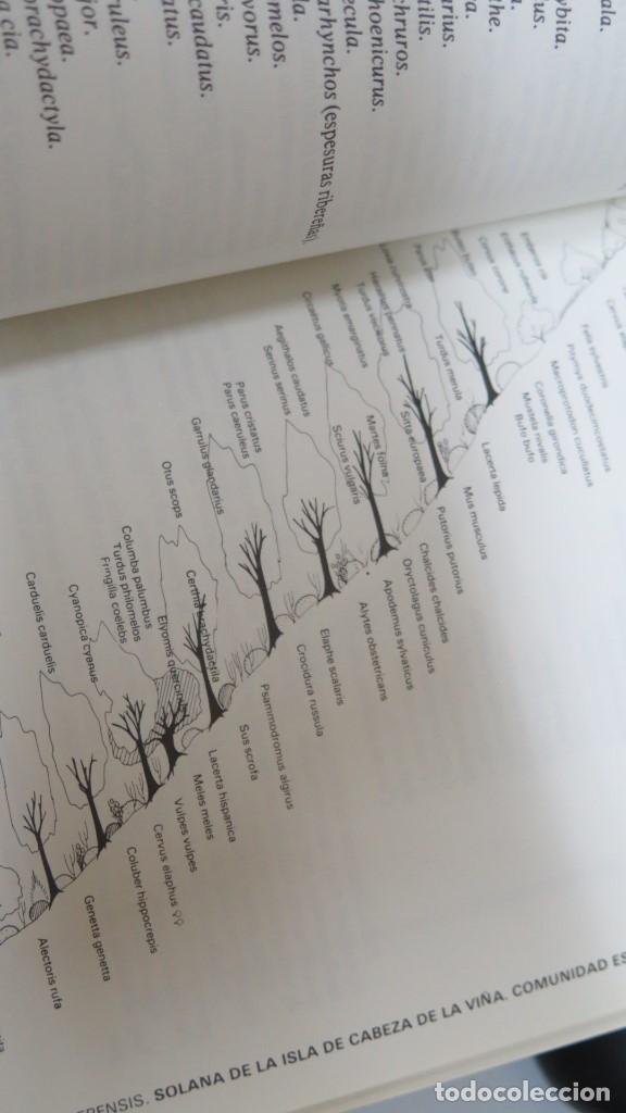 Libros de segunda mano: FAUNA DE CAZORLA. VERTEBRADOS. VV.AA - Foto 3