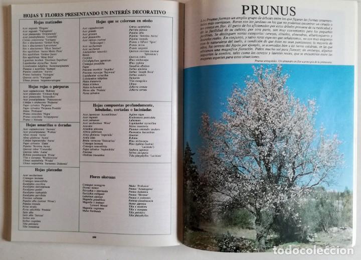 Libros de segunda mano: Arboles de ornamento - Foto 3