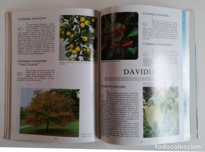 Libros de segunda mano: Arboles de ornamento - Foto 4