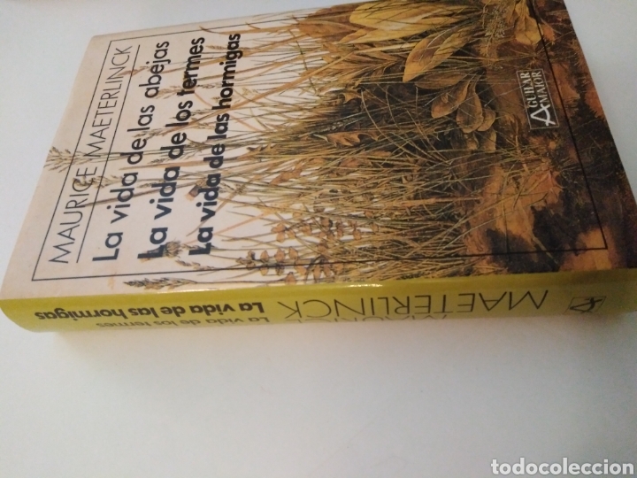 Libros de segunda mano: Maurice Maeterlinck / LA VIDA DE LAS ABEJAS. LA VIDA DE LOS TERMES. LA VIDA DE LAS HORMIGAS - Foto 3