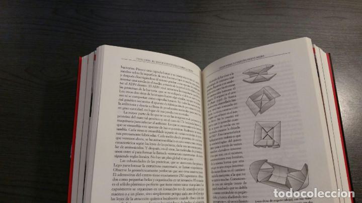 Libros de segunda mano: EVOLUCION RICHARD DAWKINS - Foto 6