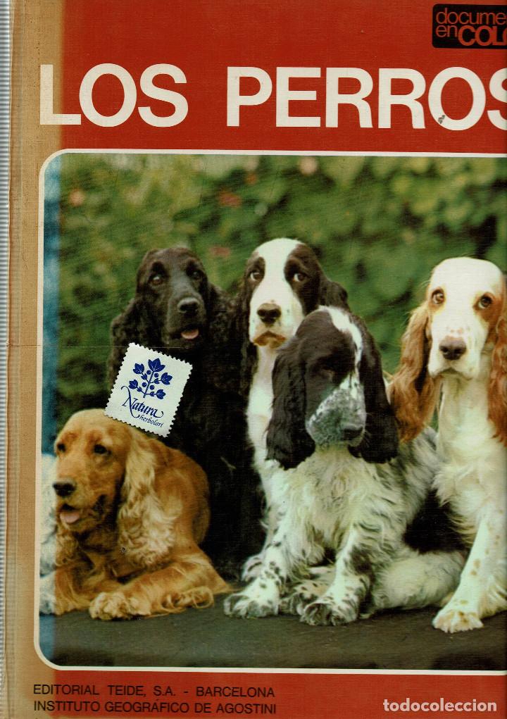 Libros de segunda mano: Los perros / Documental en color / Adriano Torregrossa / Teide / De Agostini - Foto 1