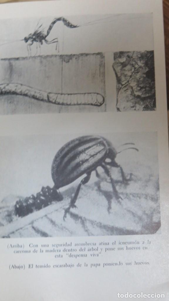 Libros de segunda mano: LA VIDA INVEROSIMIL. HEINZ WOLTERECK - Foto 2