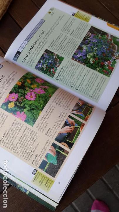 Libros de segunda mano: Balcones y Terrazas - tecnicas basicas -- jardineria. - Foto 3
