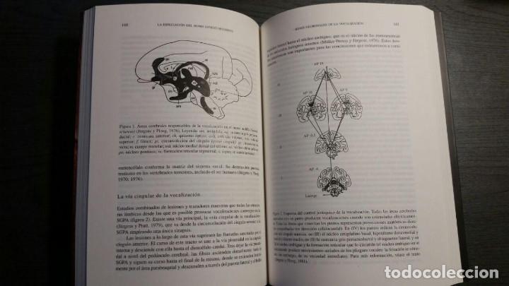 Libros de segunda mano: LA ESPECIACION DEL HOMO SAPIENS MODERNO - Foto 5