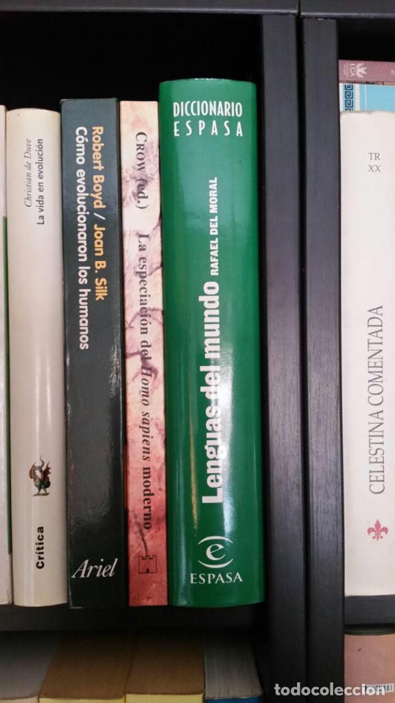 Libros de segunda mano: LA ESPECIACION DEL HOMO SAPIENS MODERNO - Foto 6