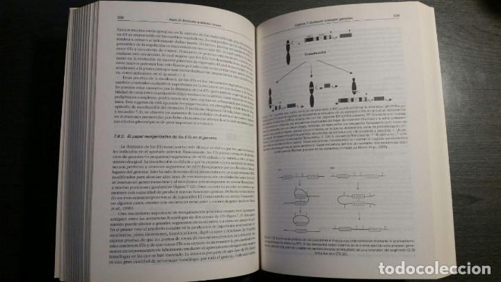 Libros de segunda mano: LA VIDA EN EVOLUCION. MOLECULAS, MENTE Y SIGNIFICADO - Foto 7