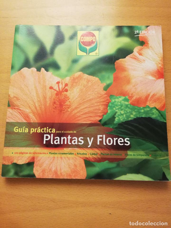 Libros de segunda mano: GU&Iacute;A PR&Aacute;CTICA PARA EL CUIDADO DE PLANTAS Y FLORES (COMPO) - Foto 1