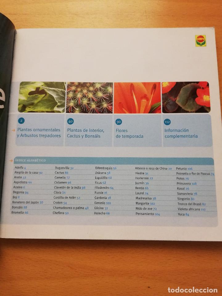 Libros de segunda mano: GU&Iacute;A PR&Aacute;CTICA PARA EL CUIDADO DE PLANTAS Y FLORES (COMPO) - Foto 2