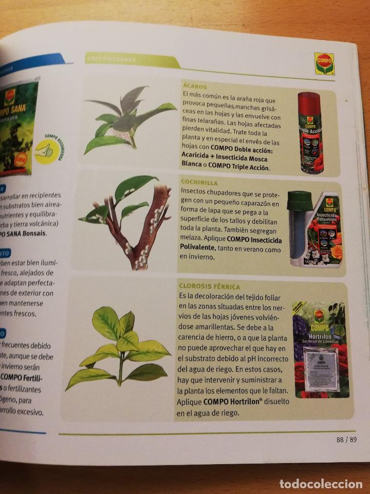 Libros de segunda mano: GU&Iacute;A PR&Aacute;CTICA PARA EL CUIDADO DE PLANTAS Y FLORES (COMPO) - Foto 3