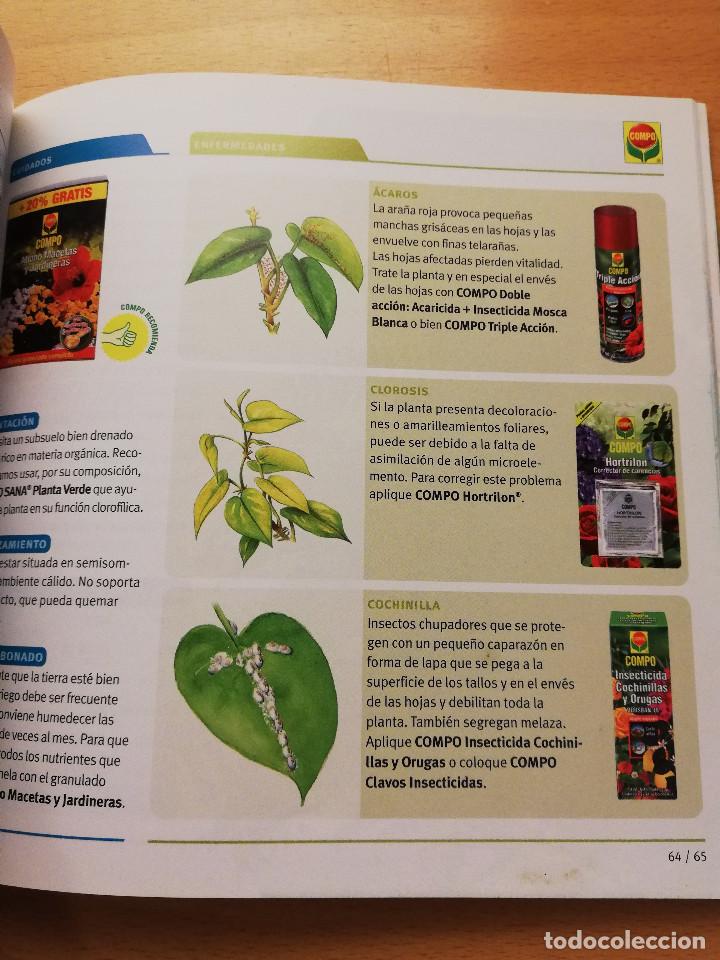 Libros de segunda mano: GU&Iacute;A PR&Aacute;CTICA PARA EL CUIDADO DE PLANTAS Y FLORES (COMPO) - Foto 4