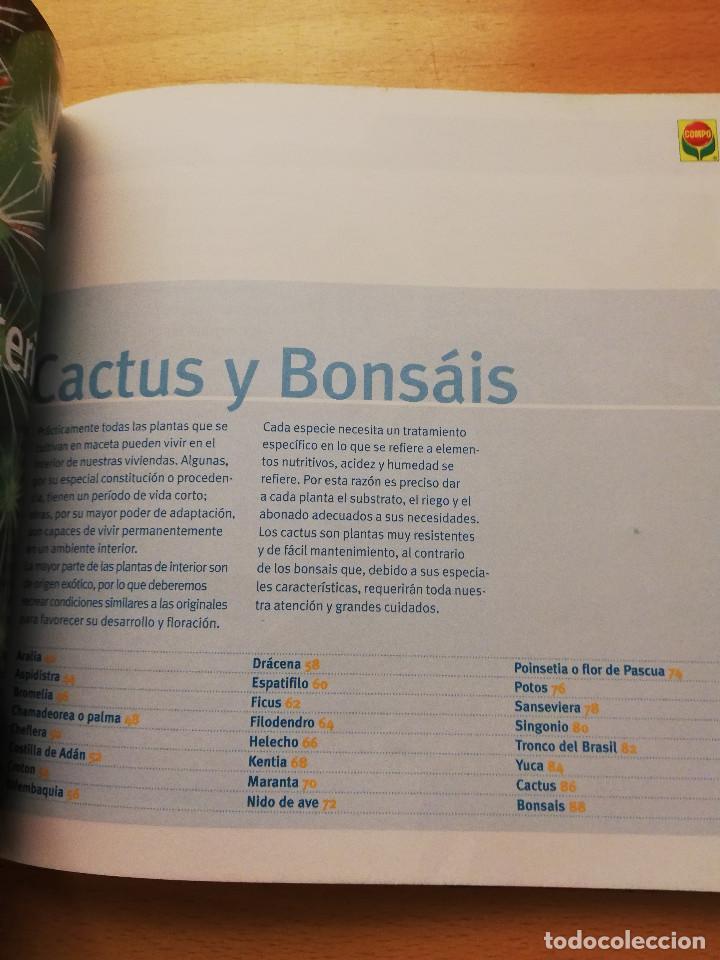 Libros de segunda mano: GU&Iacute;A PR&Aacute;CTICA PARA EL CUIDADO DE PLANTAS Y FLORES (COMPO) - Foto 5
