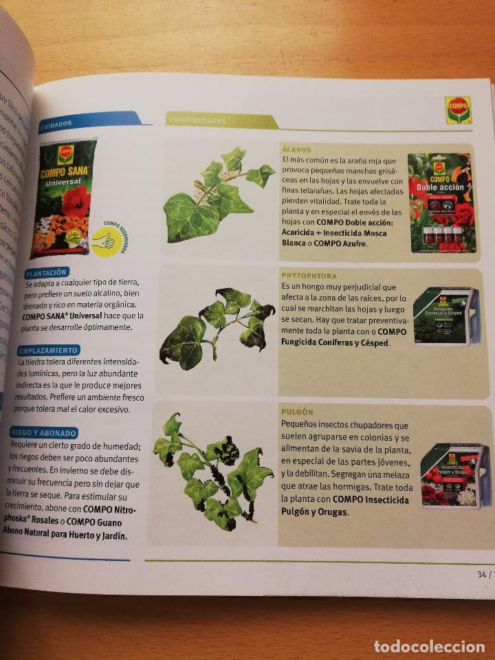 Libros de segunda mano: GU&Iacute;A PR&Aacute;CTICA PARA EL CUIDADO DE PLANTAS Y FLORES (COMPO) - Foto 6