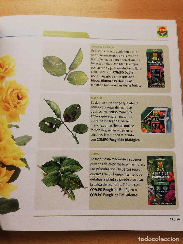 Libros de segunda mano: GU&Iacute;A PR&Aacute;CTICA PARA EL CUIDADO DE PLANTAS Y FLORES (COMPO) - Foto 7