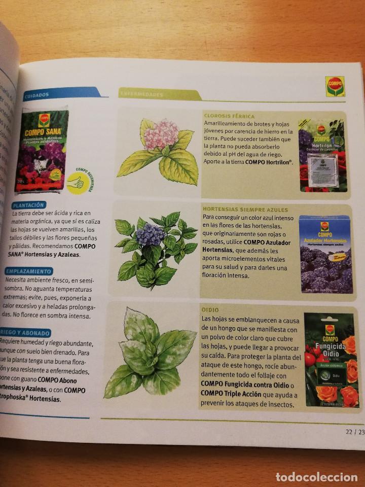 Libros de segunda mano: GU&Iacute;A PR&Aacute;CTICA PARA EL CUIDADO DE PLANTAS Y FLORES (COMPO) - Foto 8