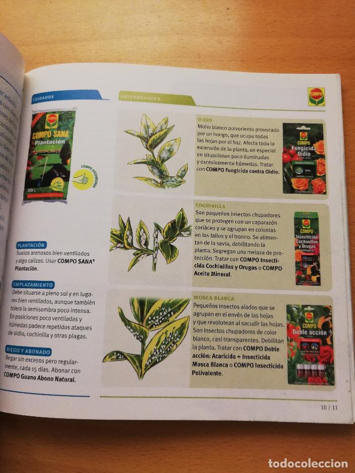 Libros de segunda mano: GU&Iacute;A PR&Aacute;CTICA PARA EL CUIDADO DE PLANTAS Y FLORES (COMPO) - Foto 9