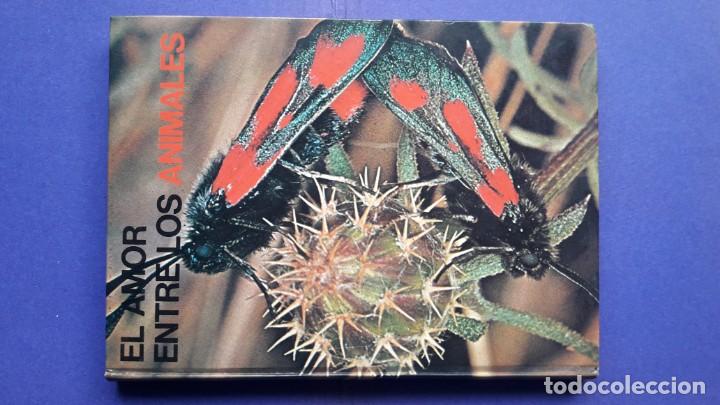 Libros de segunda mano: EL AMOR ENTRE LOS ANIMALES. - Foto 1