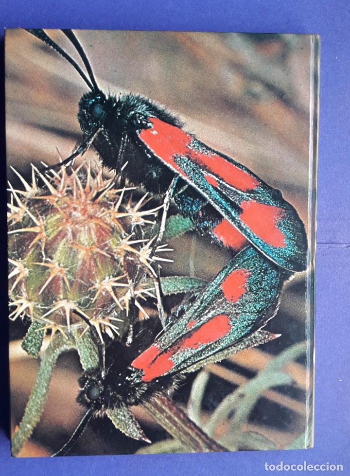 Libros de segunda mano: EL AMOR ENTRE LOS ANIMALES. - Foto 2