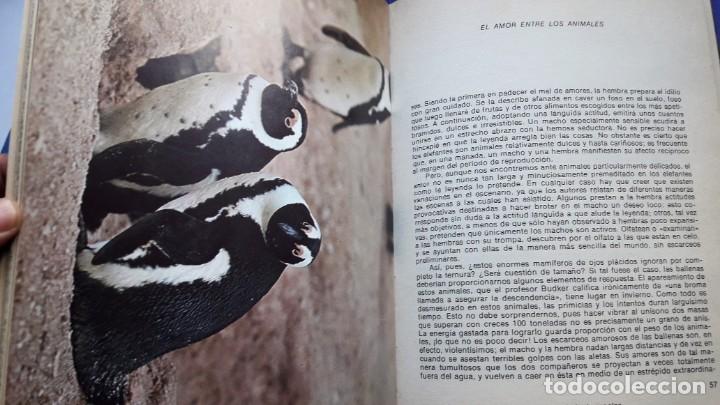 Libros de segunda mano: EL AMOR ENTRE LOS ANIMALES. - Foto 6