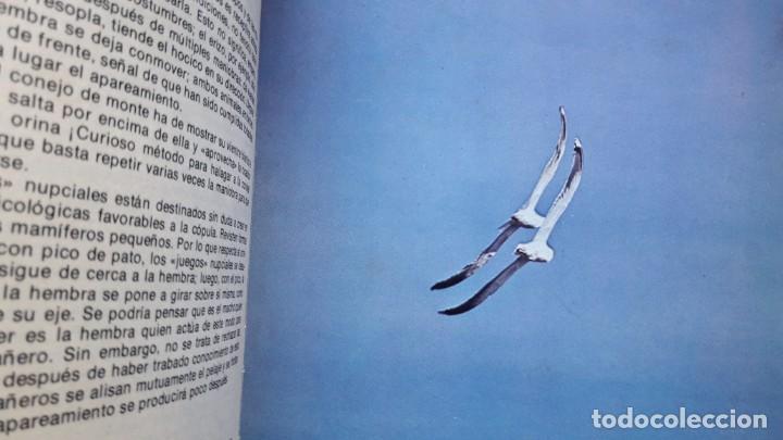 Libros de segunda mano: EL AMOR ENTRE LOS ANIMALES. - Foto 8