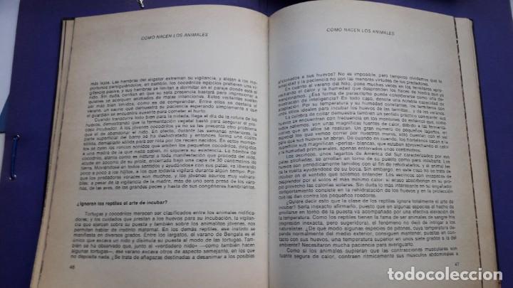 Libros de segunda mano: C&Oacute;MO NACEN LOS ANIMALES. - Foto 2