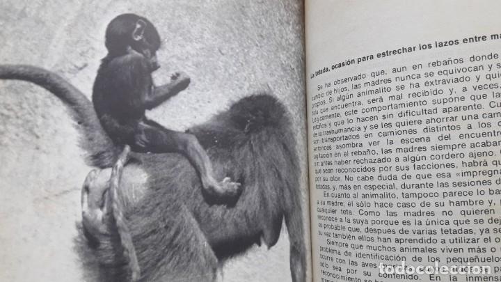 Libros de segunda mano: C&Oacute;MO NACEN LOS ANIMALES. - Foto 5