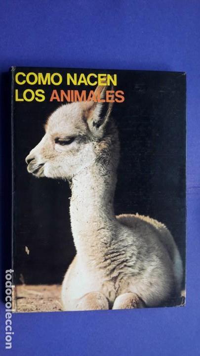 Libros de segunda mano: C&Oacute;MO NACEN LOS ANIMALES. - Foto 1