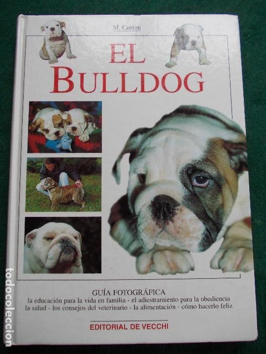 Libros de segunda mano: EL BULLDOG  EDITORIAL VECCHI - Foto 1