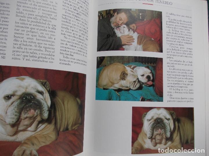 Libros de segunda mano: EL BULLDOG  EDITORIAL VECCHI - Foto 2
